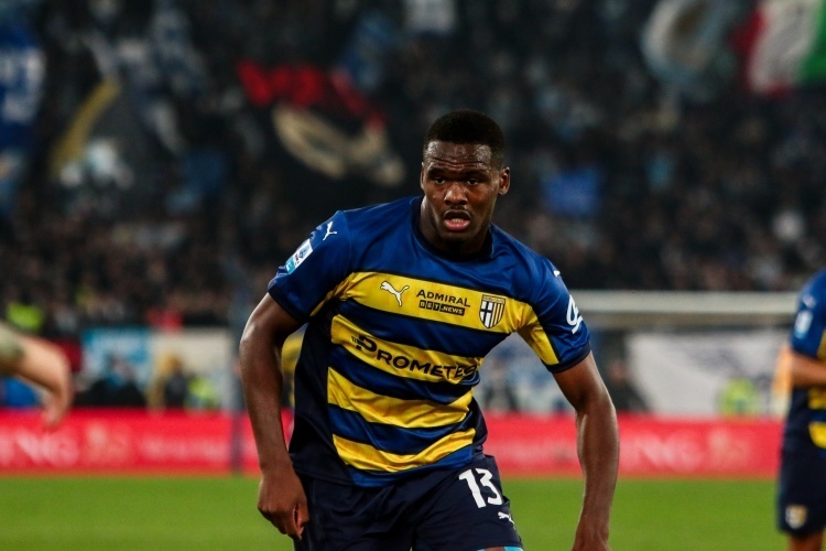 奇森林将如 奇森林将如